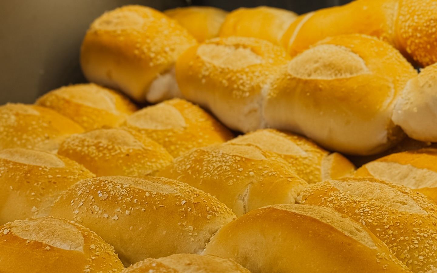 Tabuleiro de pão francês saindo do forno na Pão Nobre