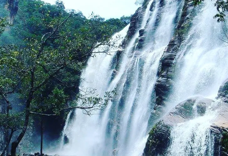 Uma das cachoeiras de Cocais, caindo sobre a pedra no meio do verde