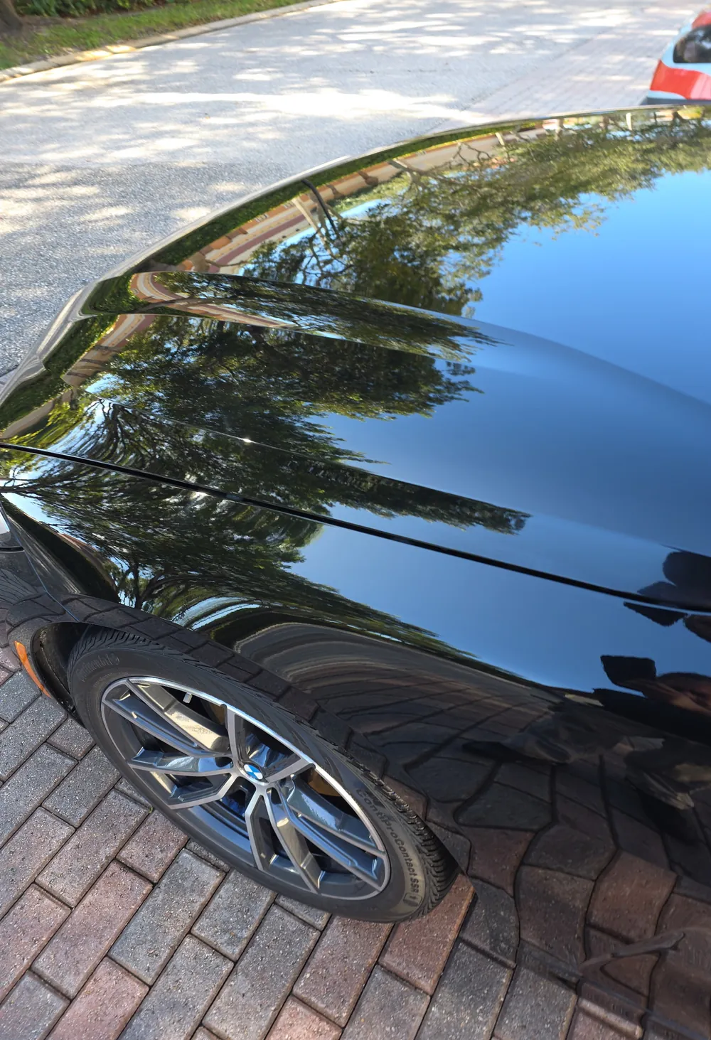 Black BMW fender polished to a mirror finish, reflecting the palm trees