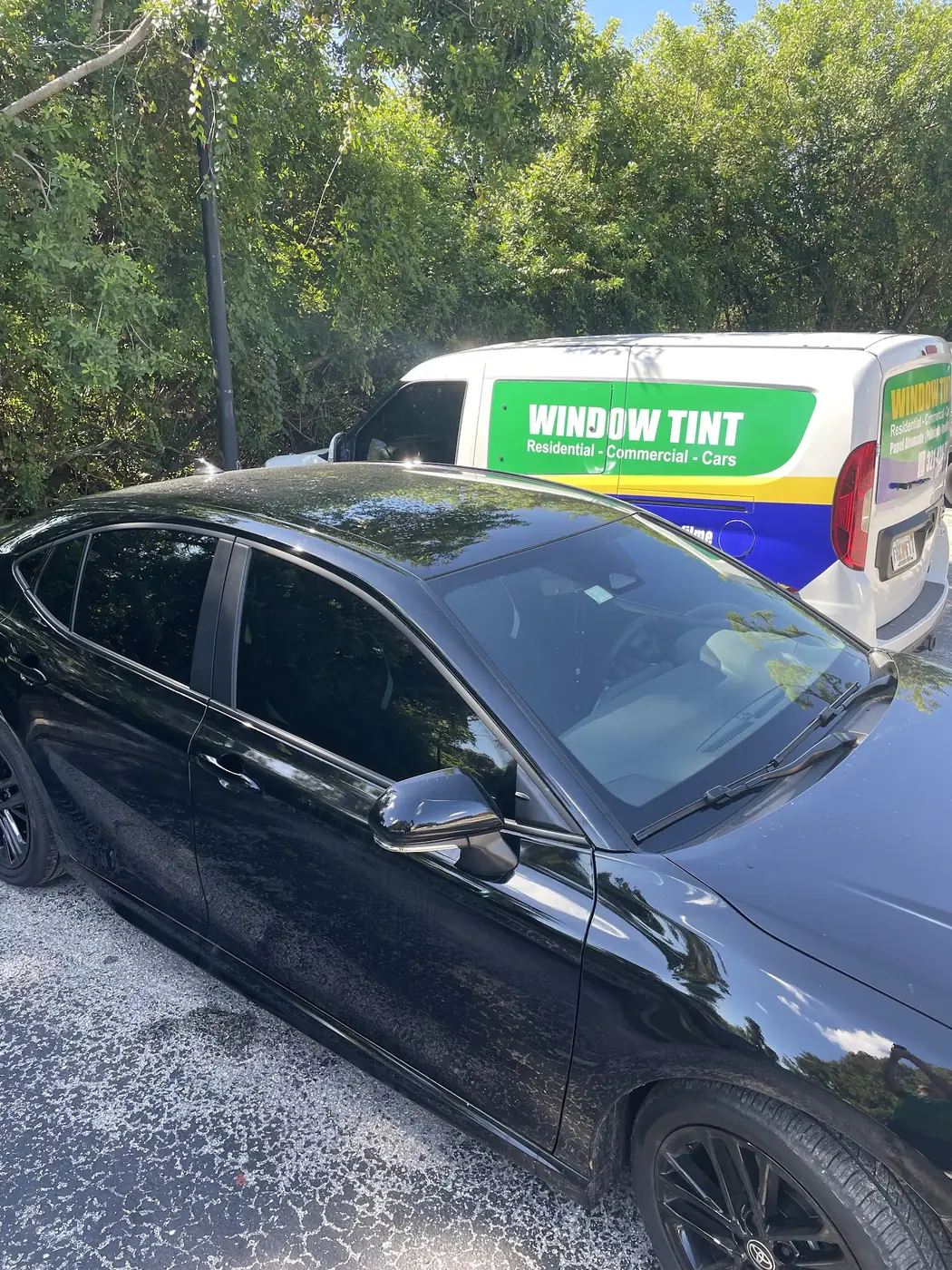 Black sedan with tinted windows next to the green Tint Brazil window tint van